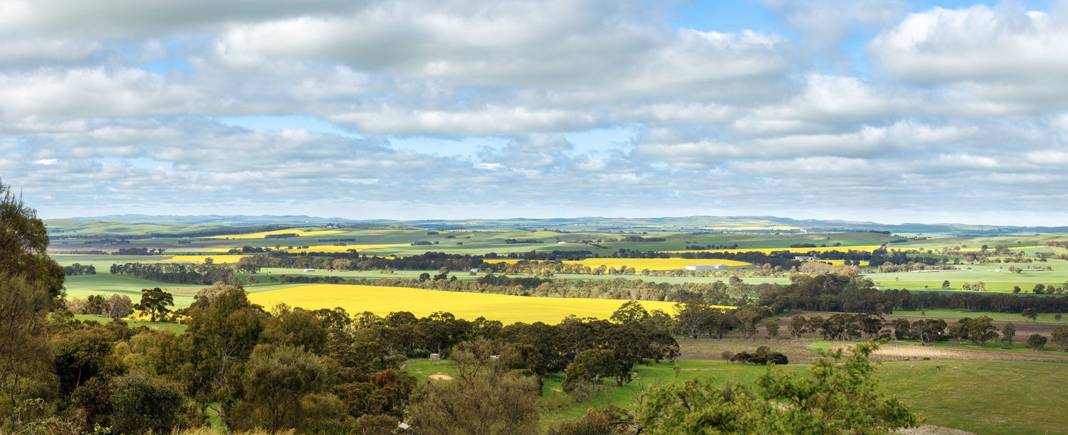 Clare Valley