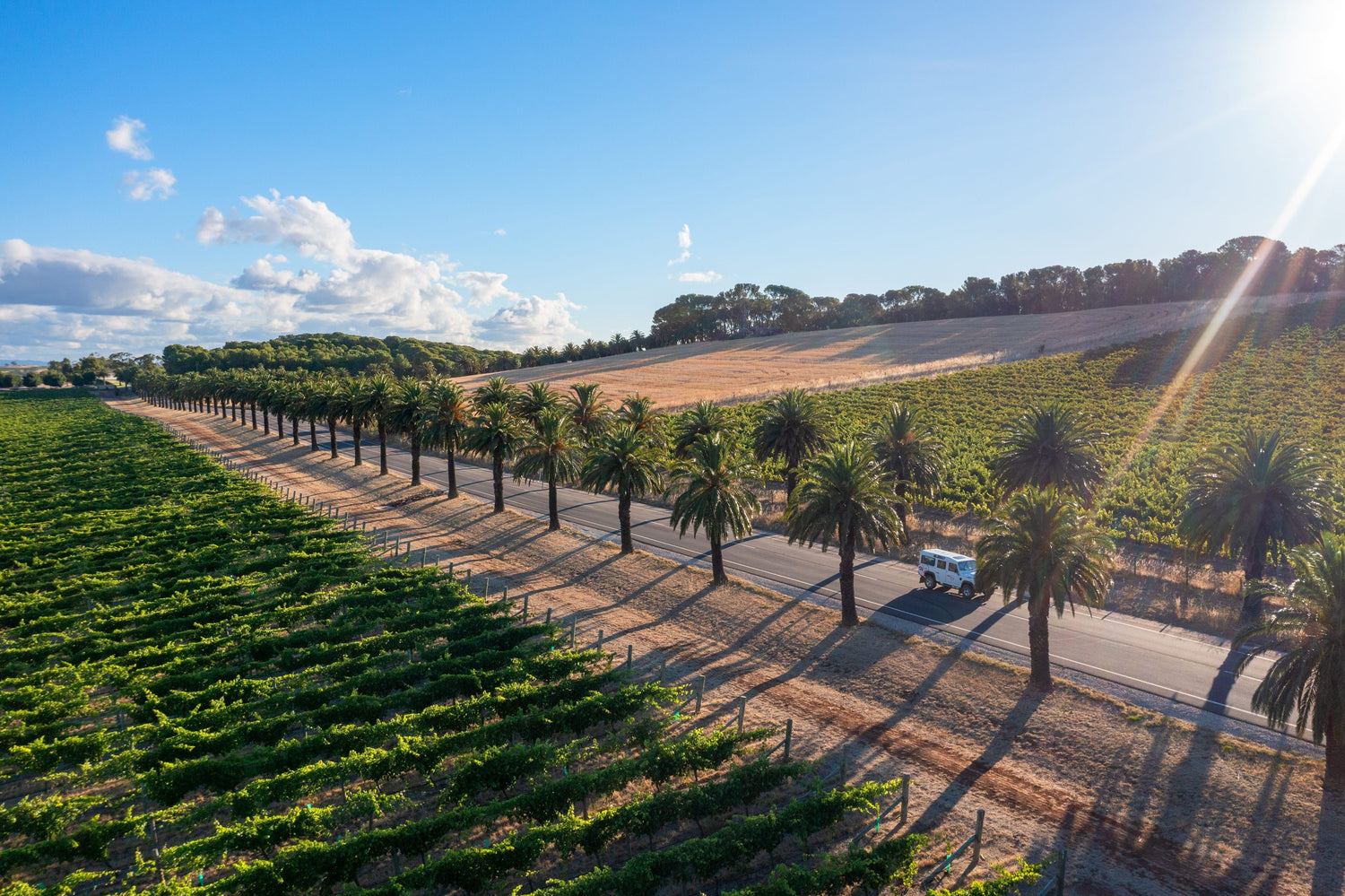 Barossa Valley