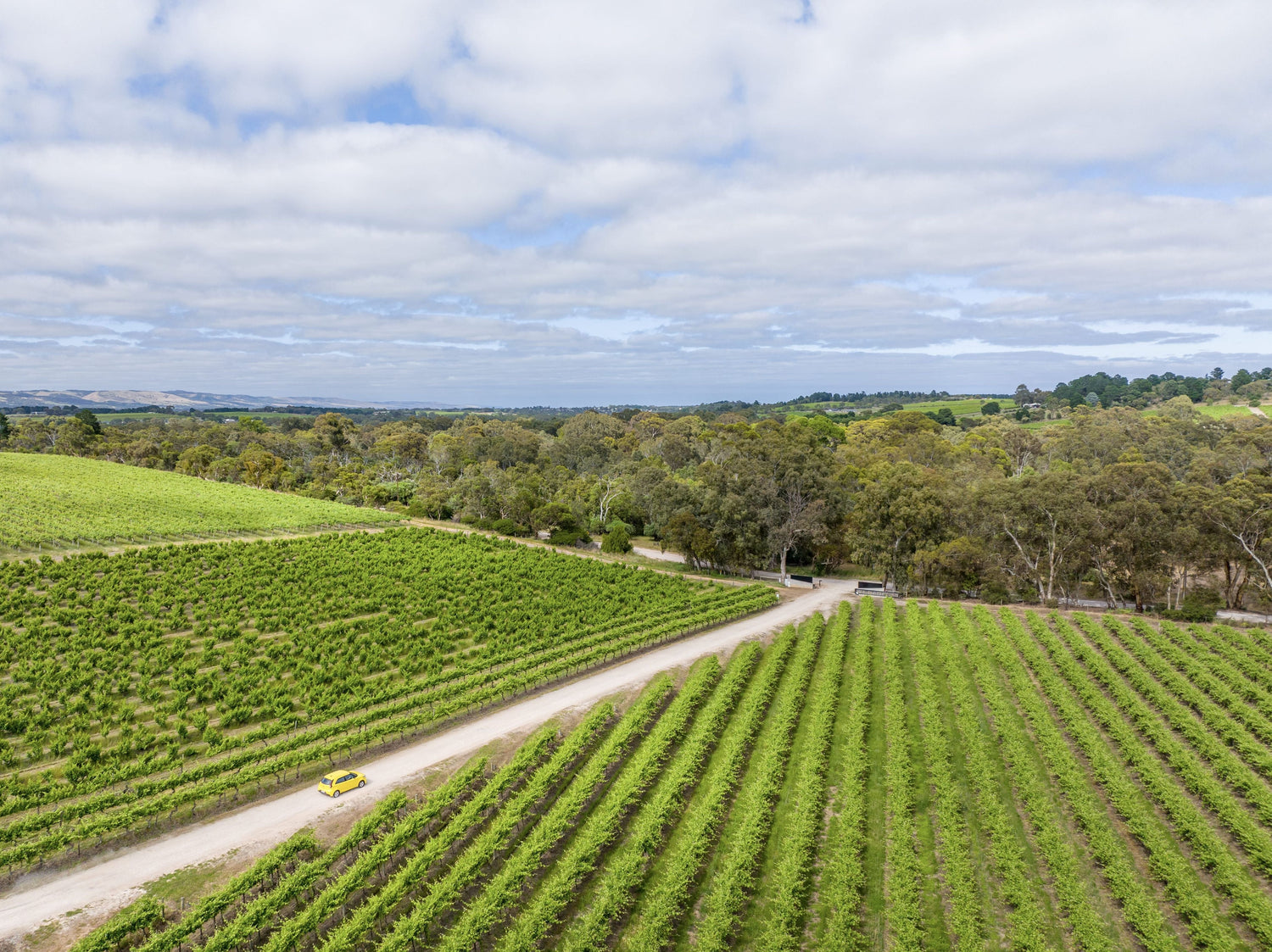 McLaren Vale