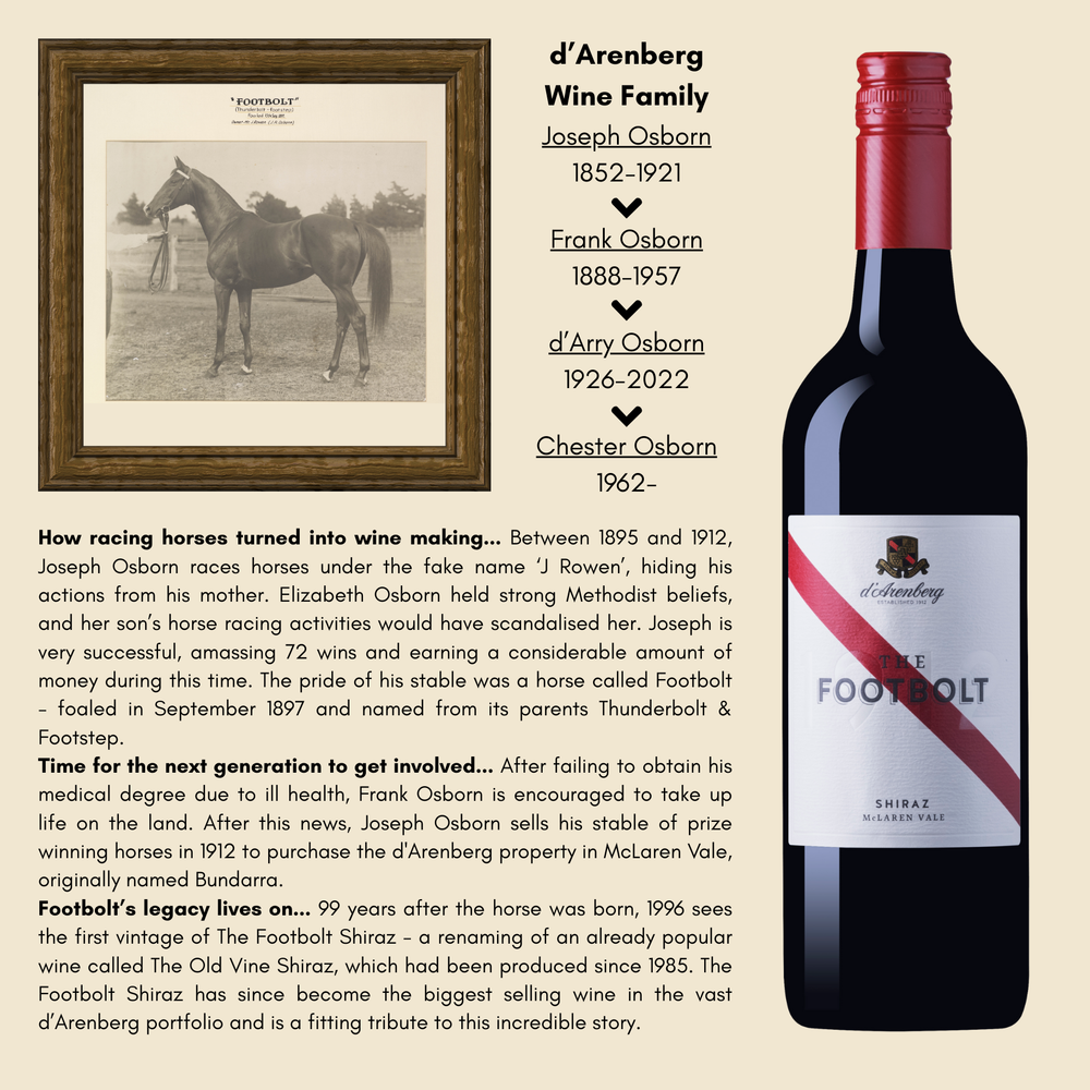 The Footbolt | Shiraz