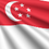 flag image